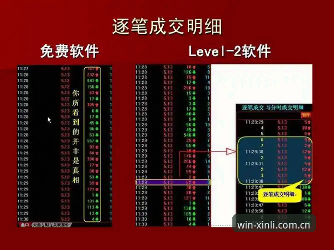 新利体育平台全面解析：从下载体验到实战操作深度分析